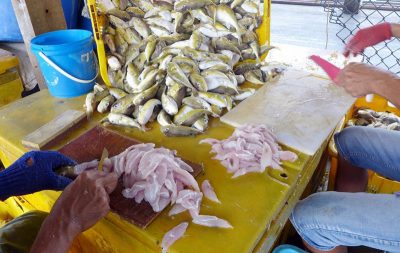 槟岛市政厅辖下菜市场 禁止卖鸡腿鱼