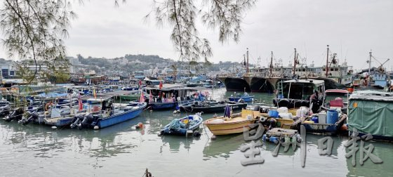 长洲岛岸边停泊着大大小小的渔船，形成一幅风景画。(photo:SinChew)
