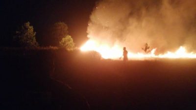 英迪拉森布娜森林失火  4公顷森林烧光