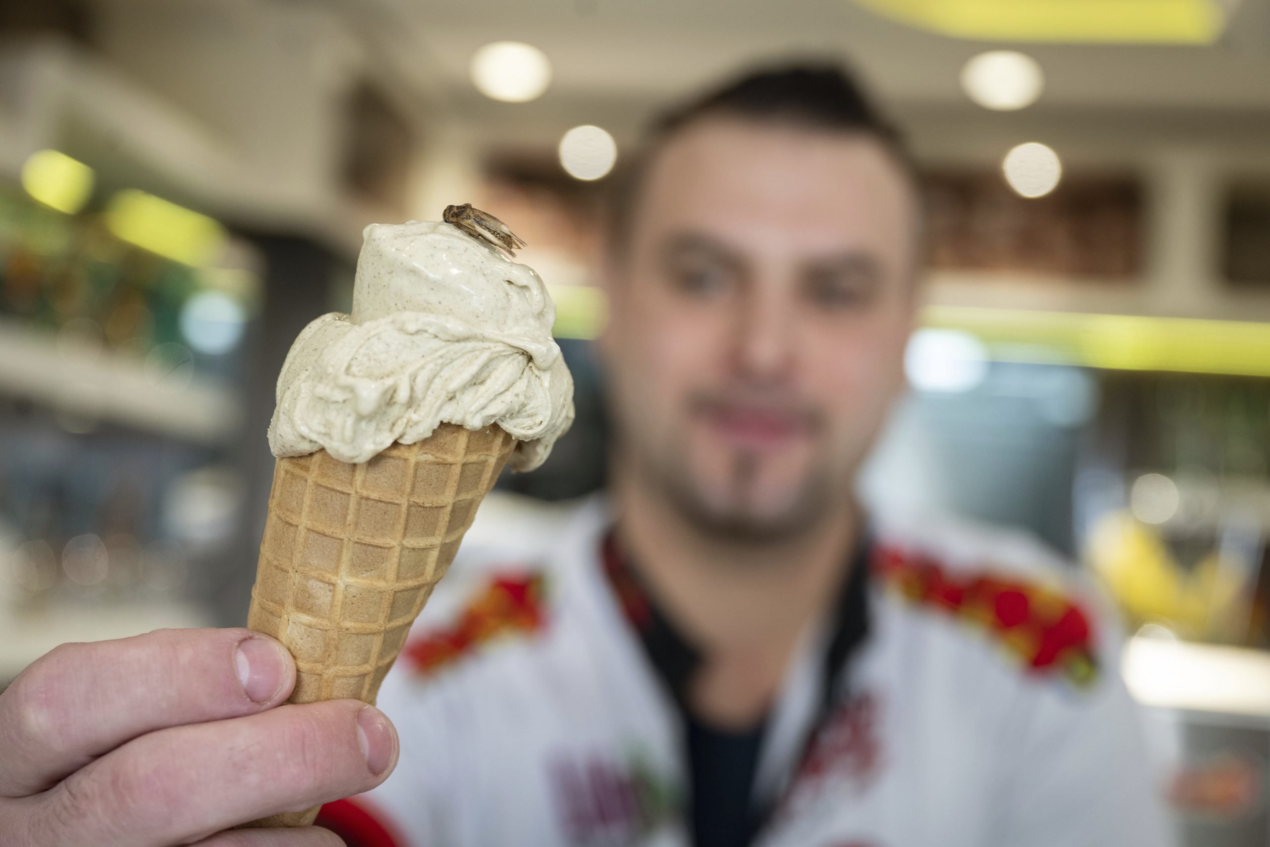 你敢吃吗？！德国蟋蟀口味冰淇淋上市