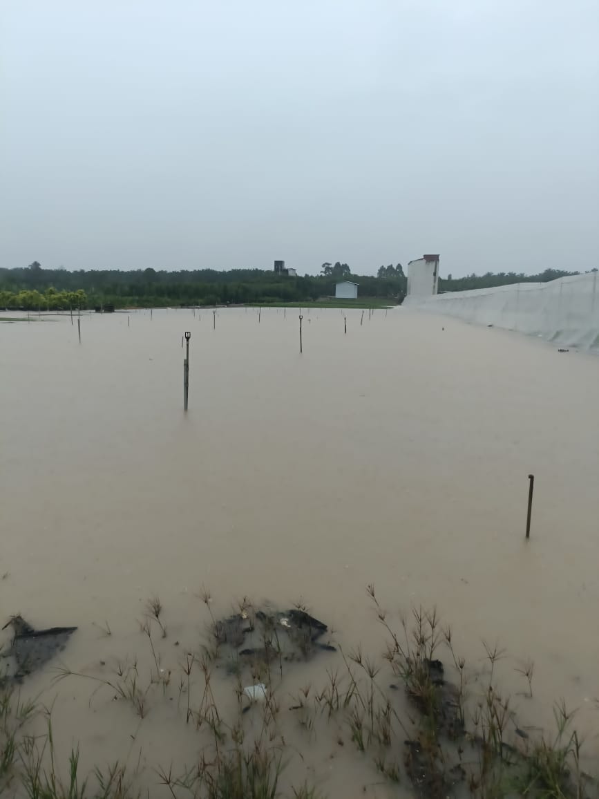 柔佛多区严重水灾，蔬菜供应明起受影响