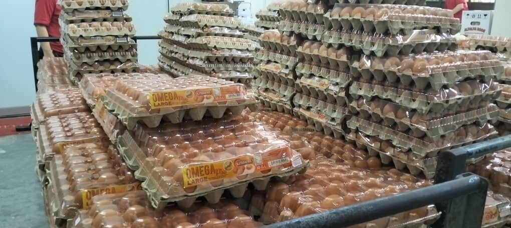 普通鸡蛋供不应求 “营养蛋”满足市场需求