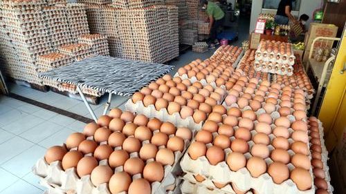 末沙布:从印度进口鸡蛋 仅1公司获进口许可证