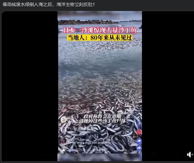 求真：日本沙丁鱼集体暴毙因核废水排放？