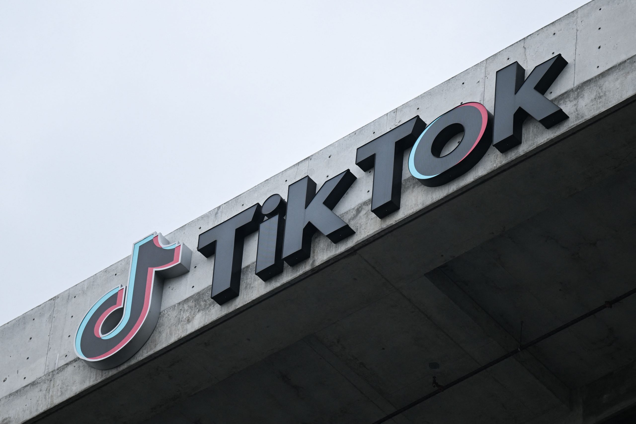 法国公务员工作手机禁用TikTok 