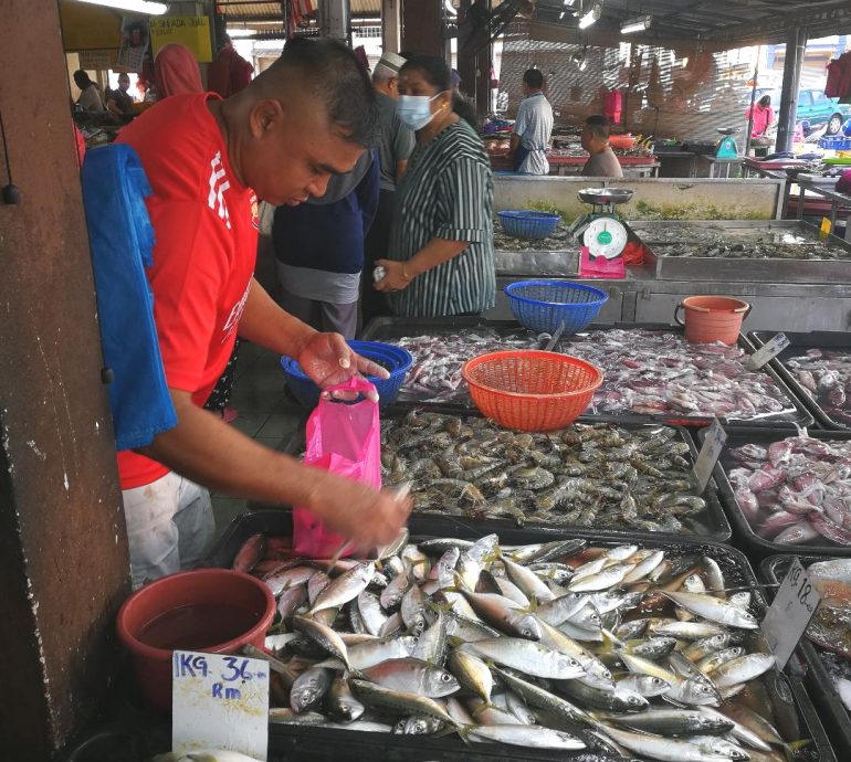 渔民减少出海渔获减 市场淡静没缺鱼虾