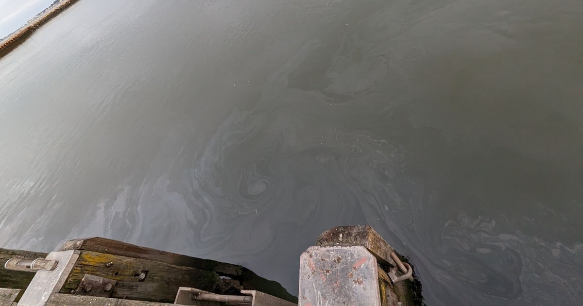 英国最大陆上油田漏油　200桶储油层液体流入普尔港