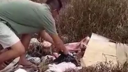 视频 | 弃婴被包进袋子埋在垃圾堆！华裔大叔救出 宝宝还活著