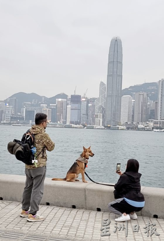 香港宠物友善空间，带著毛孩出门玩乐