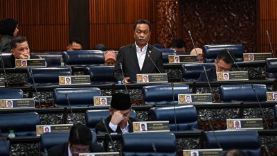 高教部：私立大专拥自主权  不强制须用马来文