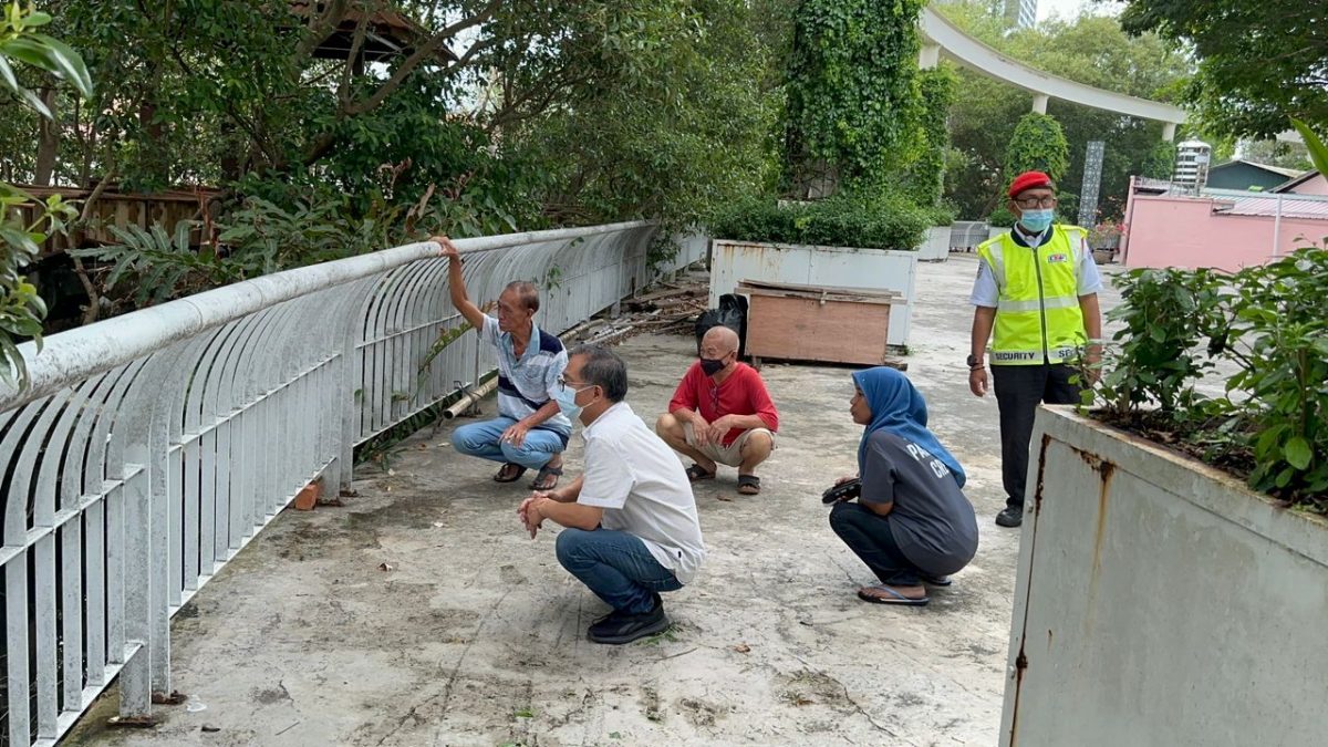 （古城封面主文）甲河畔鳄鱼出没 民众受促警惕