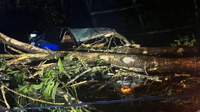 狂风暴雨吹倒大树 压中行驶轿车 司机当场死