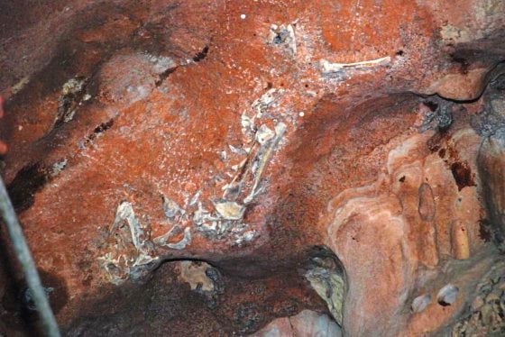 【近打谷探洞／02】古生物化石，发现史前的生命轨迹