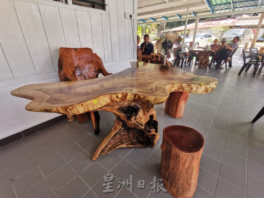 东：实木餐桌及盆栽装饰，原始大自然环境的食店具特色