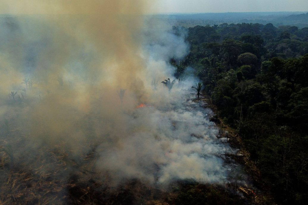 巴西首季亚马逊森林砍伐创史上第2高 卢拉任务艰钜