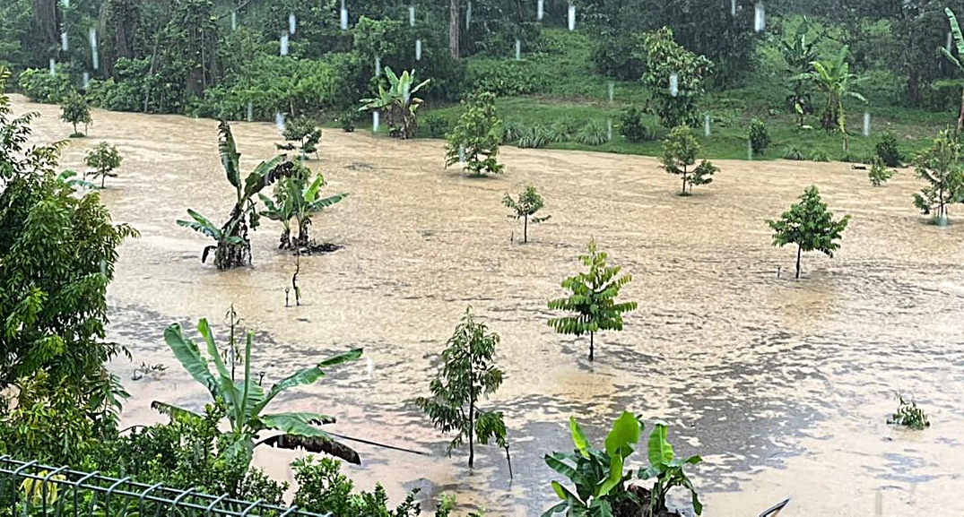 柔：泗隆新村面对多年的一雨成灾问题获解