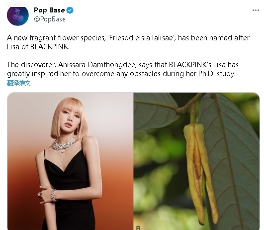 泰国发现新品种花 研究人员以偶像Lisa命名