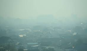 看世界／泰多地污染飙升至危险水平 清迈发布居家办公令
