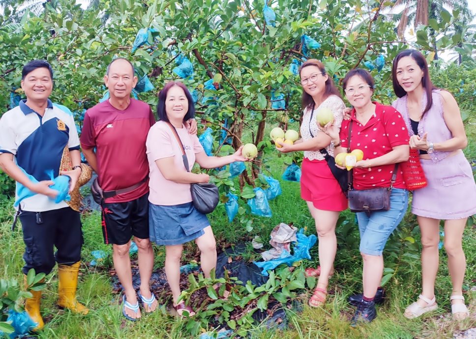 霹：备稿／安顺旅游协会协调 游果园尝素食纳旅程