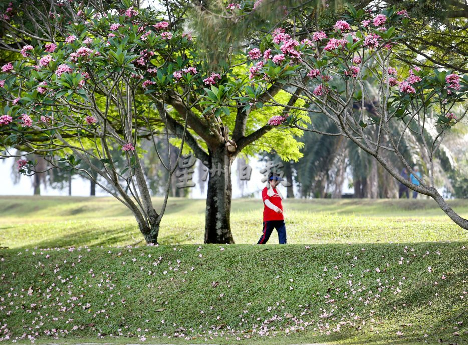 霹：封底主文／獲首相頒大紅花景觀獎 翠林城生態公園1鳥語花香順應自然