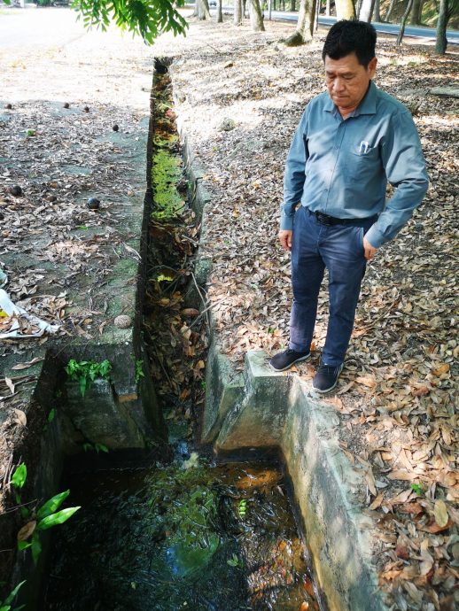 （古城3主文）5年来没定期除草清渠，武吉南眉工业区杂草丛生、满地枯叶，厂商怨有如被遗弃的“弃婴”