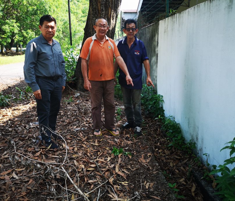 （古城3主文）5年来没定期除草清渠，武吉南眉工业区杂草丛生、满地枯叶，厂商怨有如被遗弃的“弃婴”