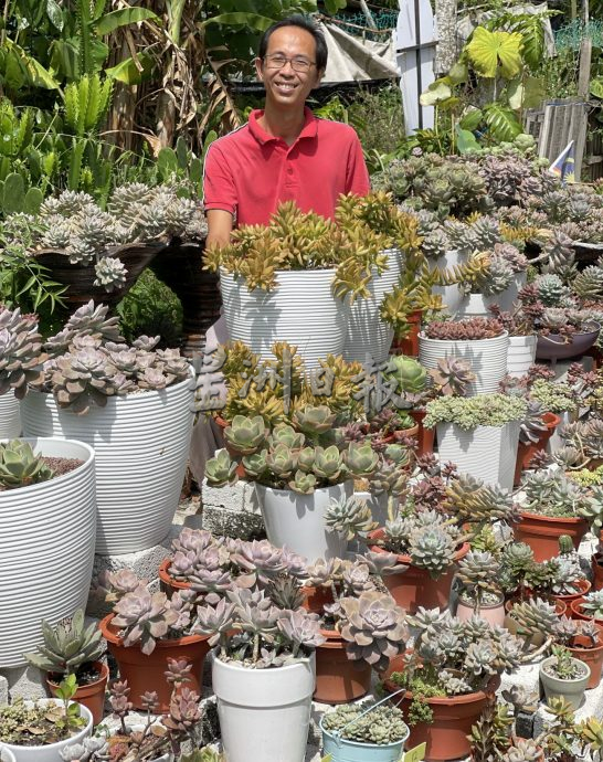 （古城封底主文）【带你去找爱】：多肉植物的爱