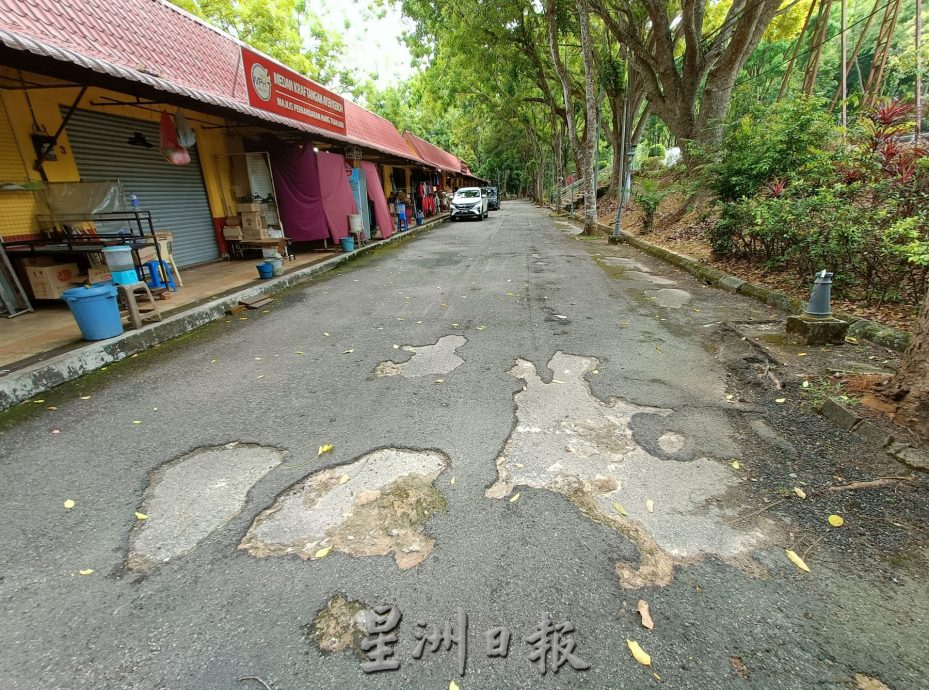 （古城封面主文）植物园停车场大树破坏基设·枝桠掉落 树倒无声