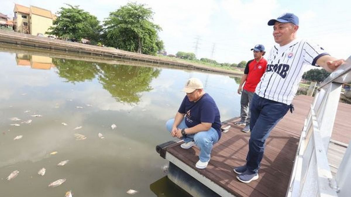 涨潮导致海水倒灌 上千死鱼漂浮甲河面