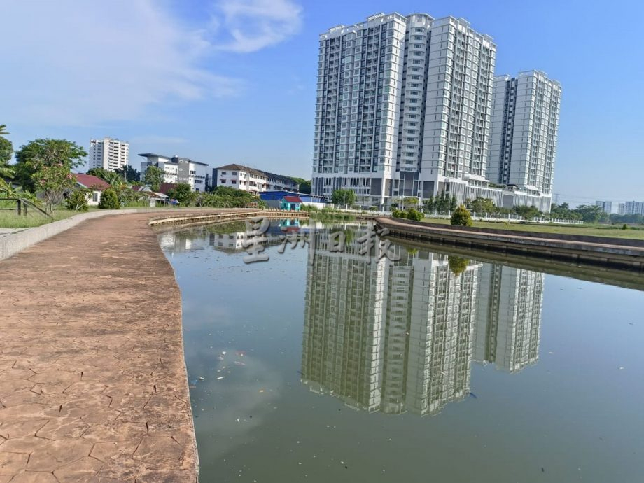 涨潮导致海水倒灌 上千死鱼漂浮甲河面