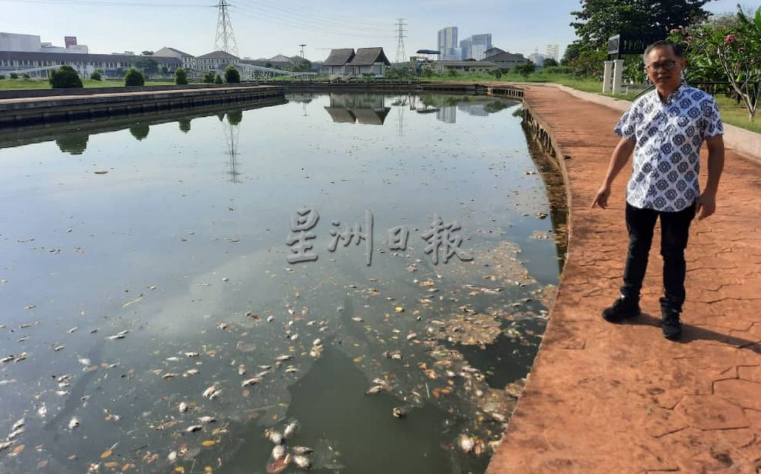 涨潮导致海水倒灌 上千死鱼漂浮甲河面