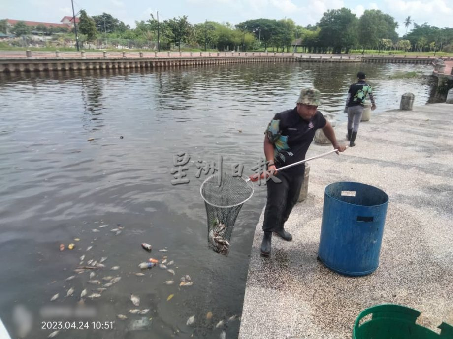 （古城第四版主文）甲河流及海滩发展机构清理5吨死鱼