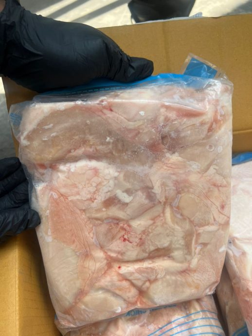 槟州MAQIS破获价值24万令吉违法进口的冷涷新鲜无骨鸡胸肉。