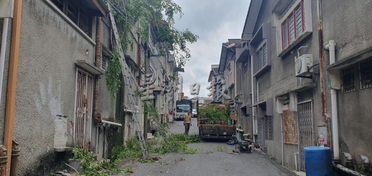 罗白选区荒废住家多，无人理且任由杂草丛生；邻居生活被困扰