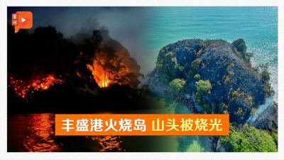 天气炎热引发？丰盛港小岛遭烈火狂烧