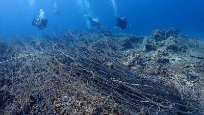 美人鱼岛潜水点 100公斤“鬼网”缠珊瑚