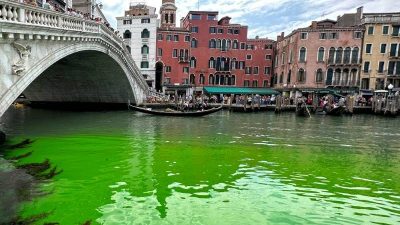 威尼斯大运河染绿   警方调查是否为环保人士所为