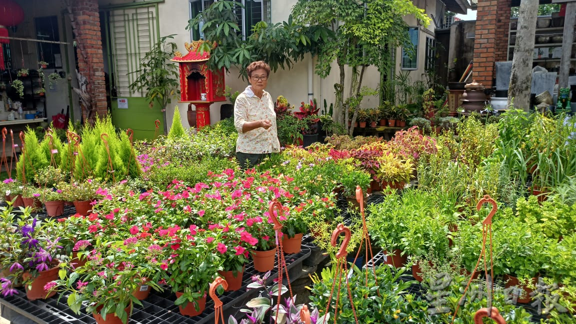 热浪来袭，花圃用水量倍增。