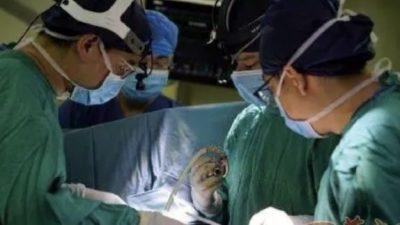 中国首例“心脏不停跳”人工心脏植入手术  心衰患者术后可爬山