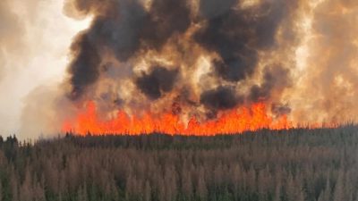 加拿大艾伯塔山火蔓延　 省长宣布进入紧急状态