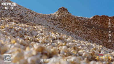 视频 | 古人吃剩的螺蛳壳堆成一座山 面积约13个足球场