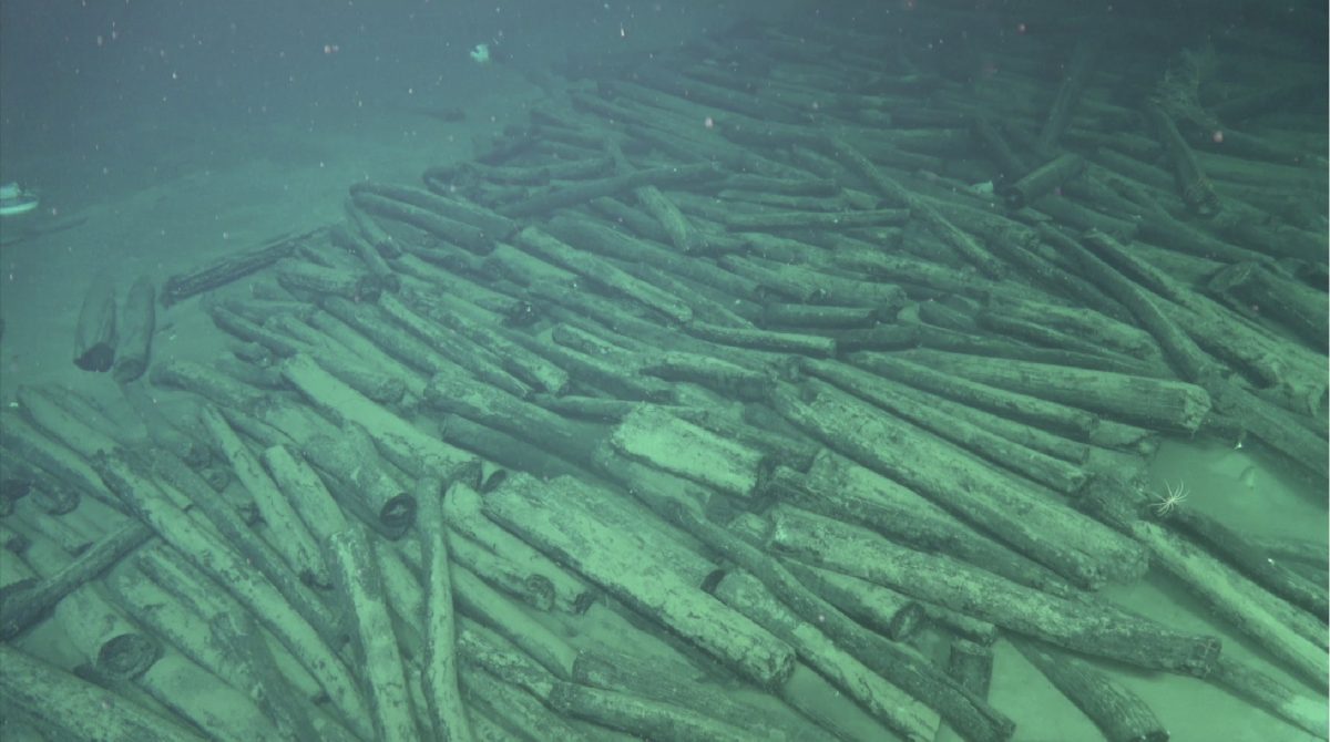 拼盘／南海发现两处古代沉船　文物超过十万件