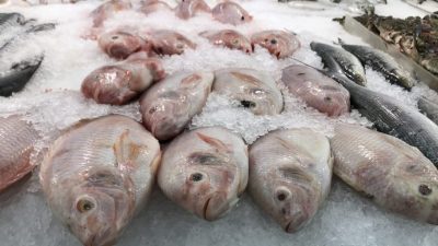 每包鱼饲料冲破80令吉　3年来涨幅30%