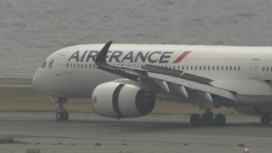 看世界／法国航空班机遭鸟击机鼻凹陷折返日本 关西机场11航班受影响