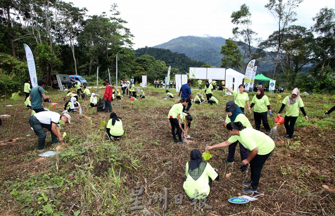 郑国霖：霹5年要种1千万棵树 每年种超过200万目标