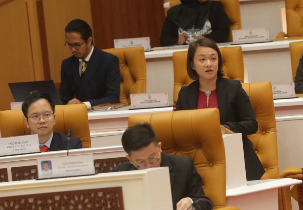 霹州议会︱黄彩仪：支持酒店法案 提议征收费用于回馈服务与旅游业