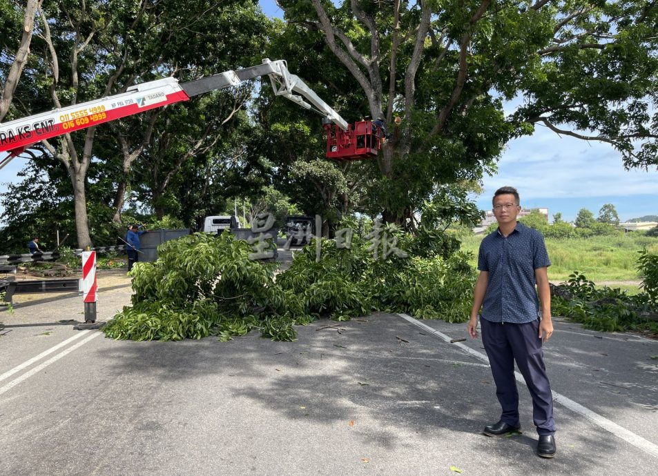 （古城封面主文）“三不管”地带终获关注，阴暗公路亮起来了！