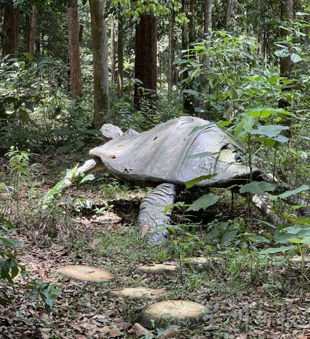 （古城封面主文）植物园恐龙破损失色·杂草掩盖失去光芒