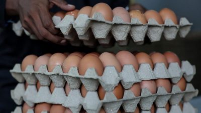 农粮和内贸部：维护人民福祉 蛋肉鸡补贴 延长