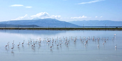 Airport threatens Albania’s fragile wild paradise